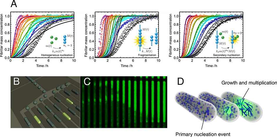 Fig. 10