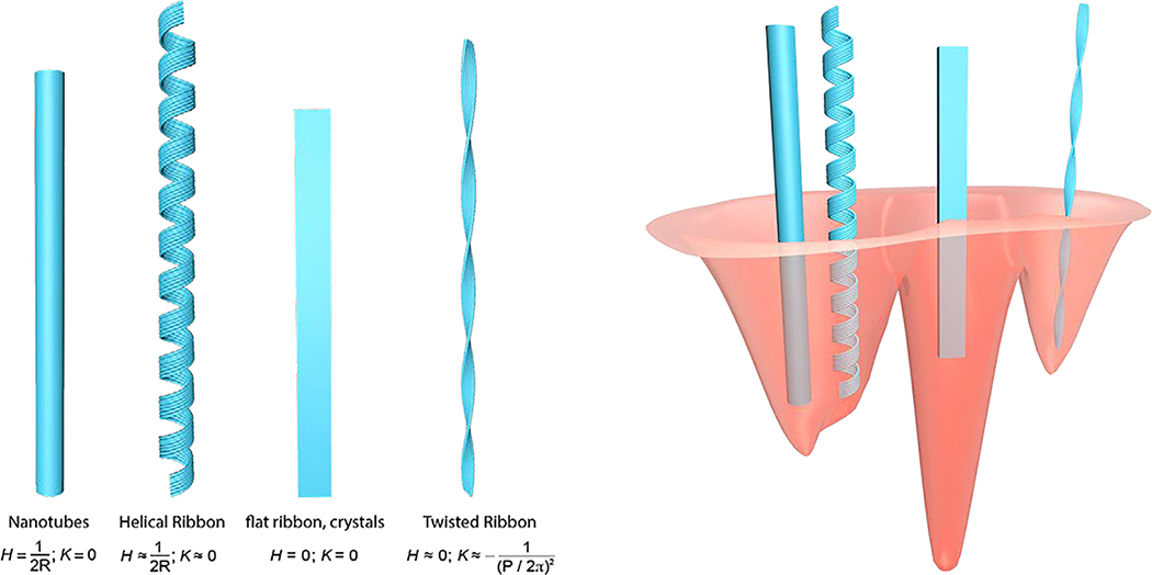 Fig. 9