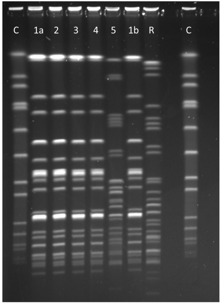 Figure 2