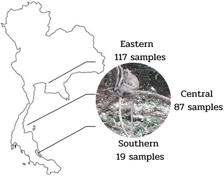 Fig. 1.