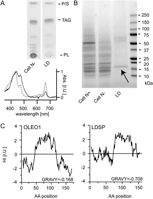 Figure 1.