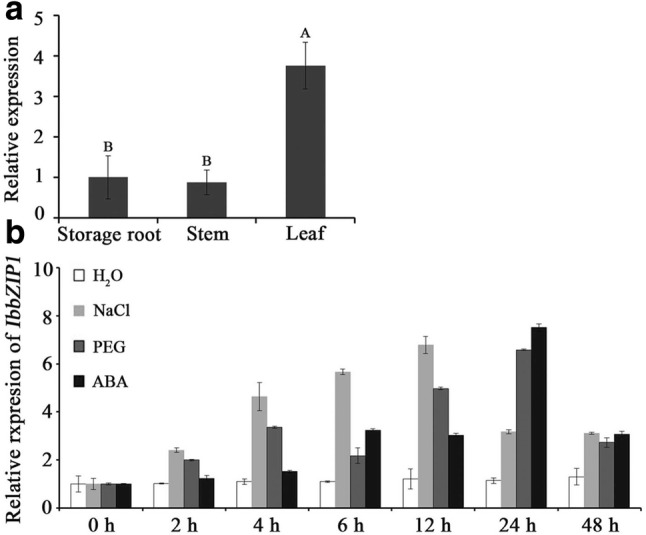 Fig. 3