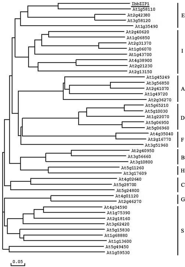 Fig. 1