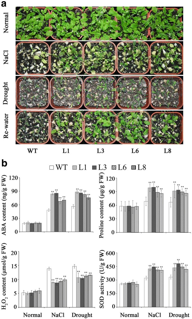 Fig. 6