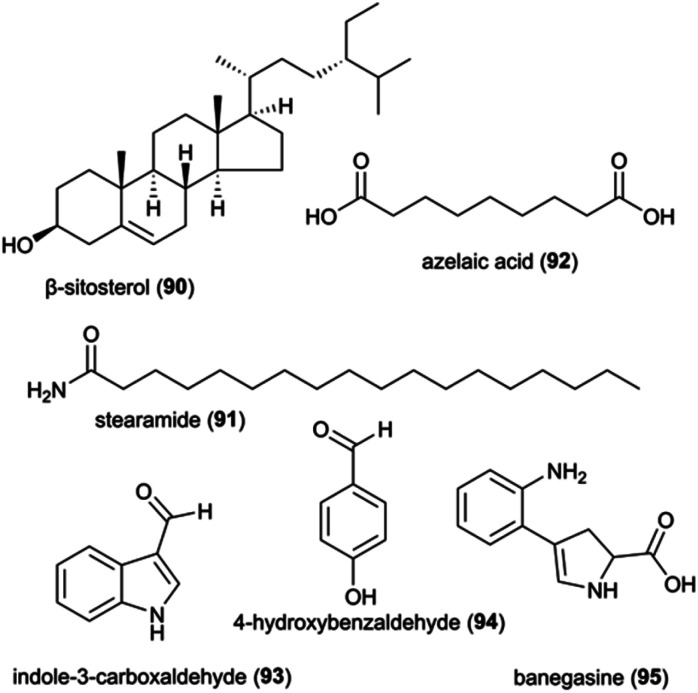 Fig. 12