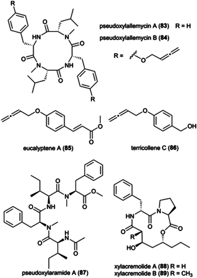 Fig. 11