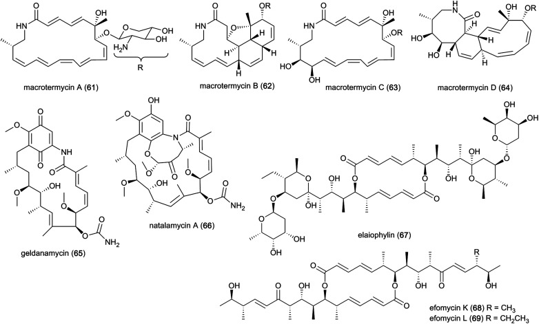 Fig. 8