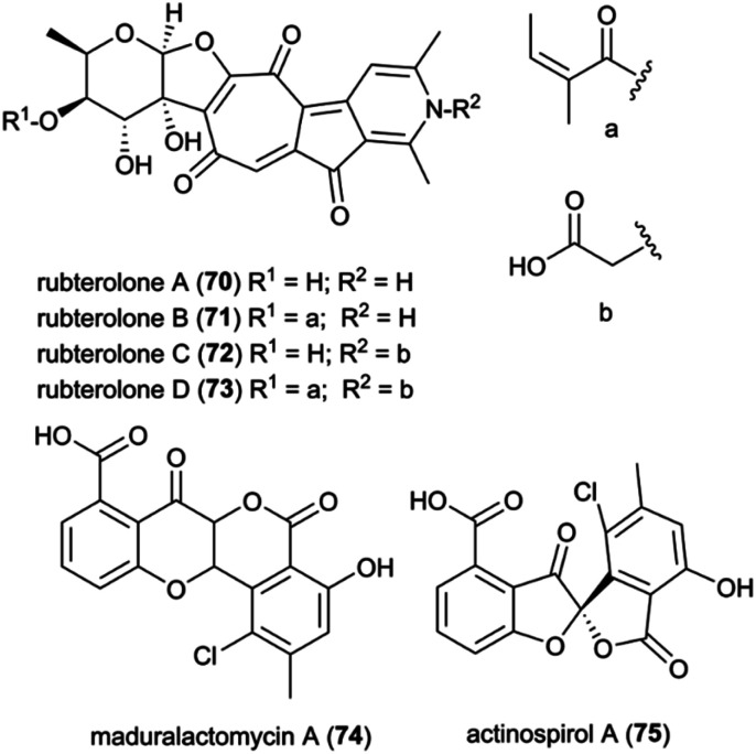 Fig. 9