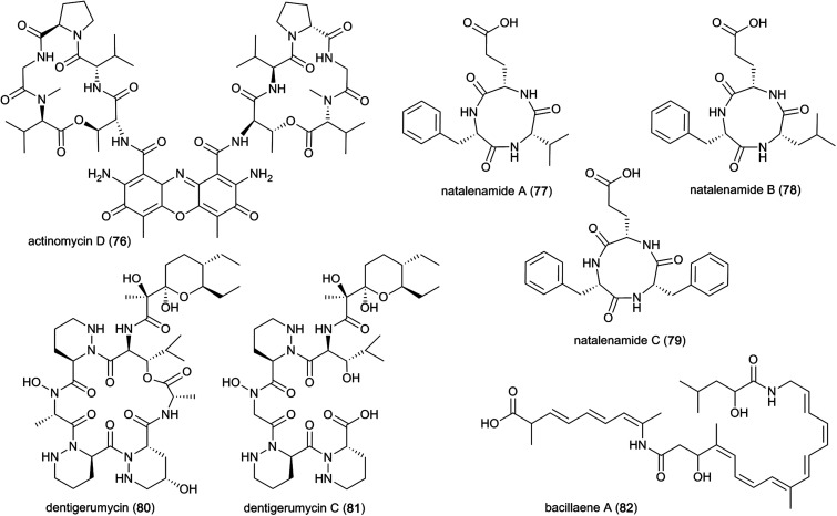 Fig. 10