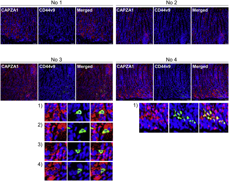 Figure 6