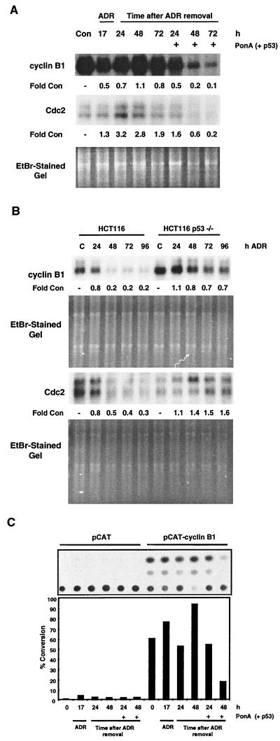 FIG. 7