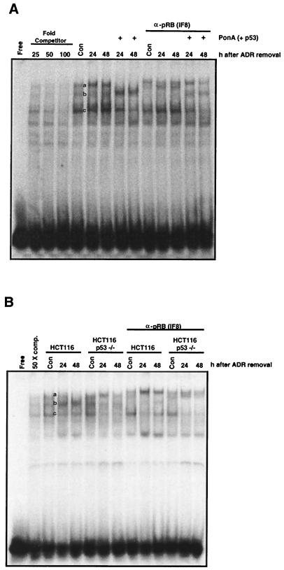 FIG. 9