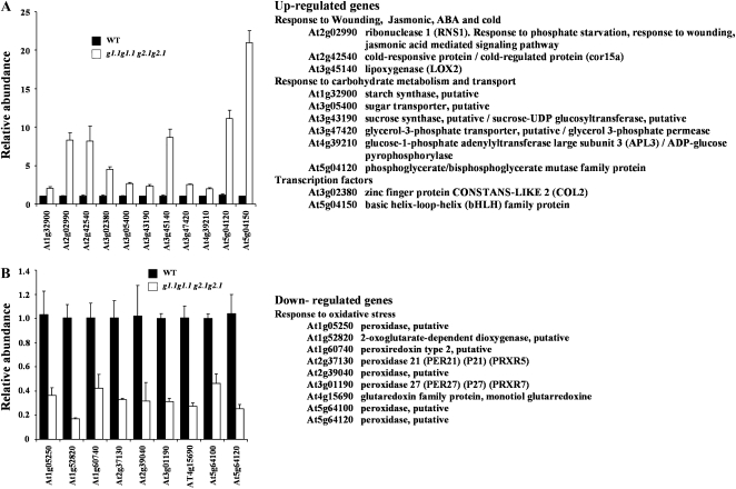 Figure 10.