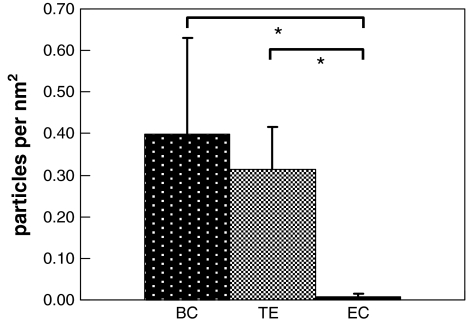 Fig. 7