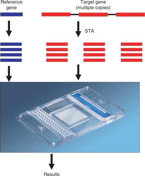 Figure 3.