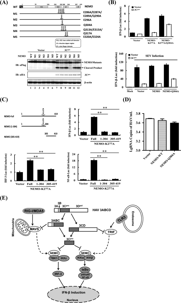 FIG 4