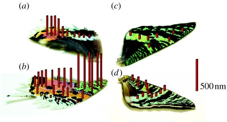 Figure 5