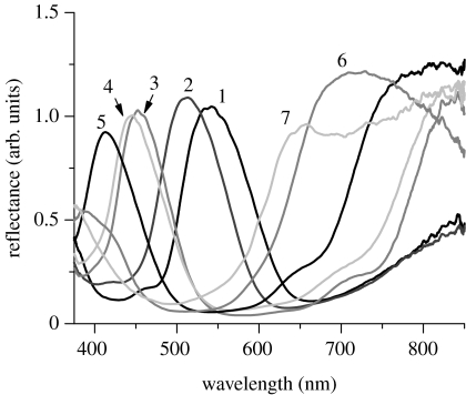 Figure 6