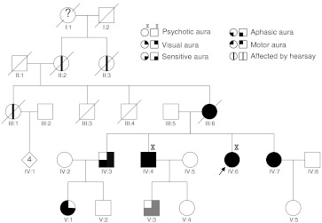 Fig. 1