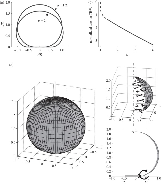 Figure 3.