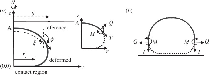 Figure 2.