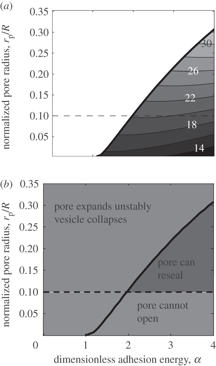 Figure 6.