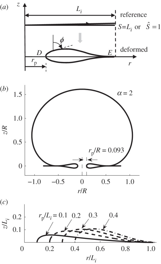 Figure 4.