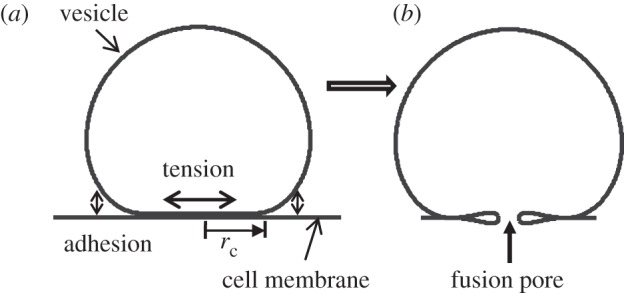 Figure 1.