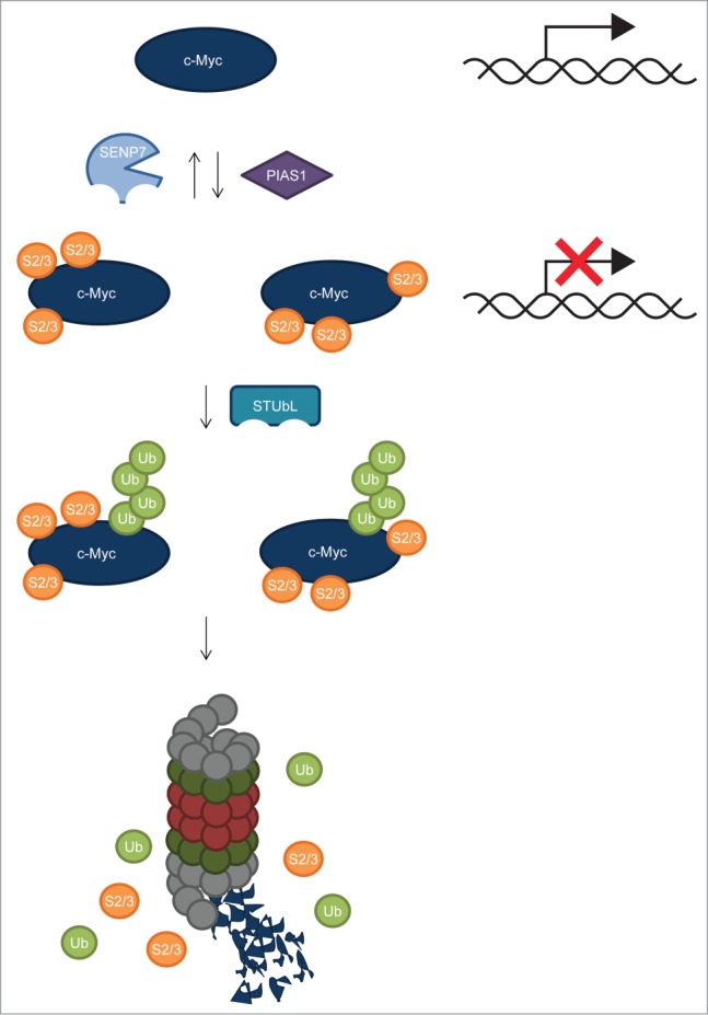 Figure 7.