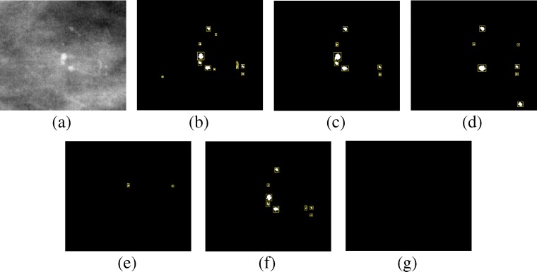 Fig. 13