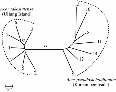 Fig. 2