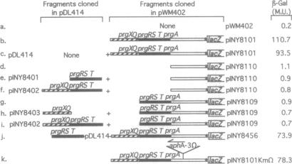 graphic file with name pnas01093-0174-b.jpg