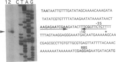 graphic file with name pnas01093-0174-c.jpg