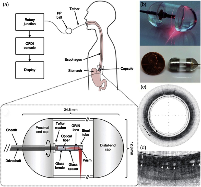 Fig. 17