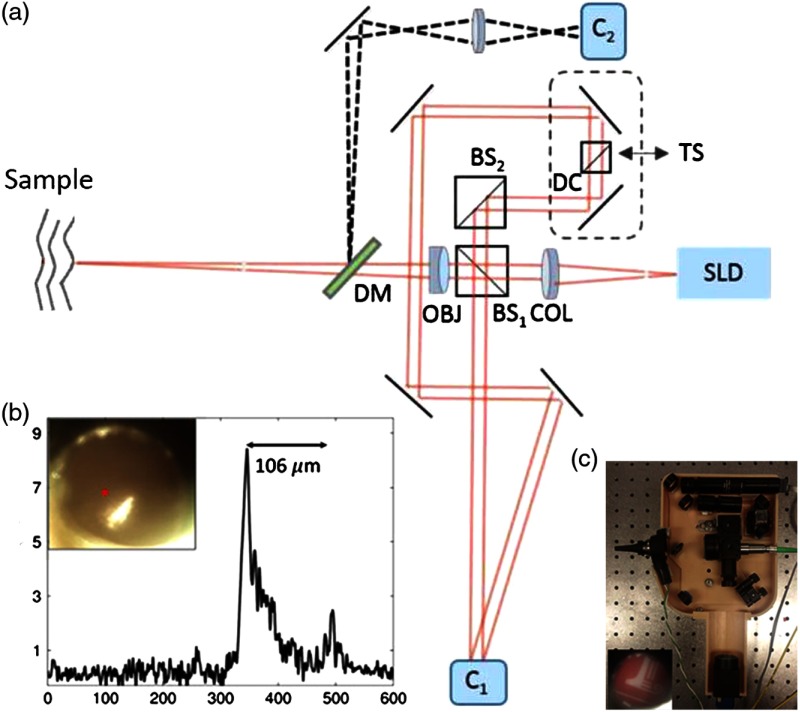 Fig. 29