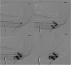 Fig. 5