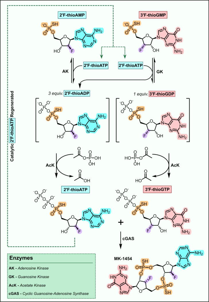 Figure 4