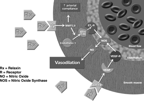 Fig. 2