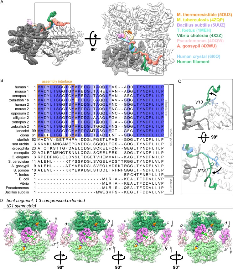 Figure 3—figure supplement 3.