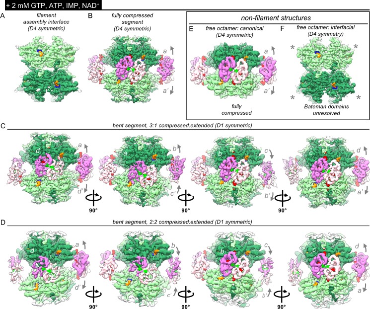 Figure 5—figure supplement 7.