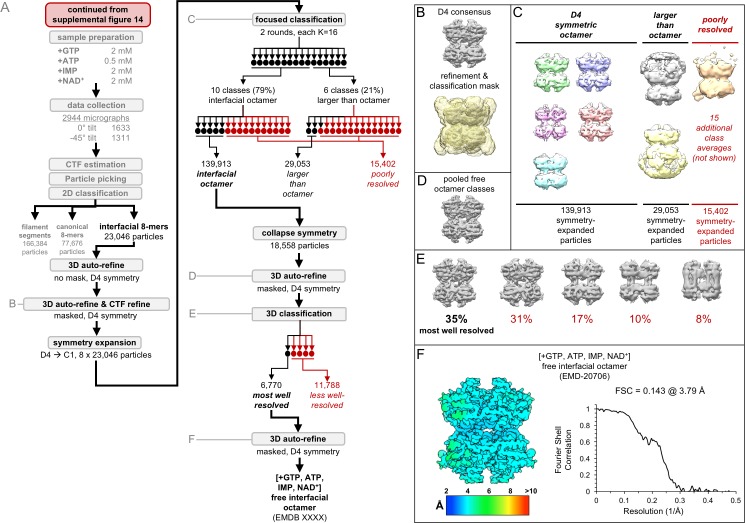 Figure 5—figure supplement 4.