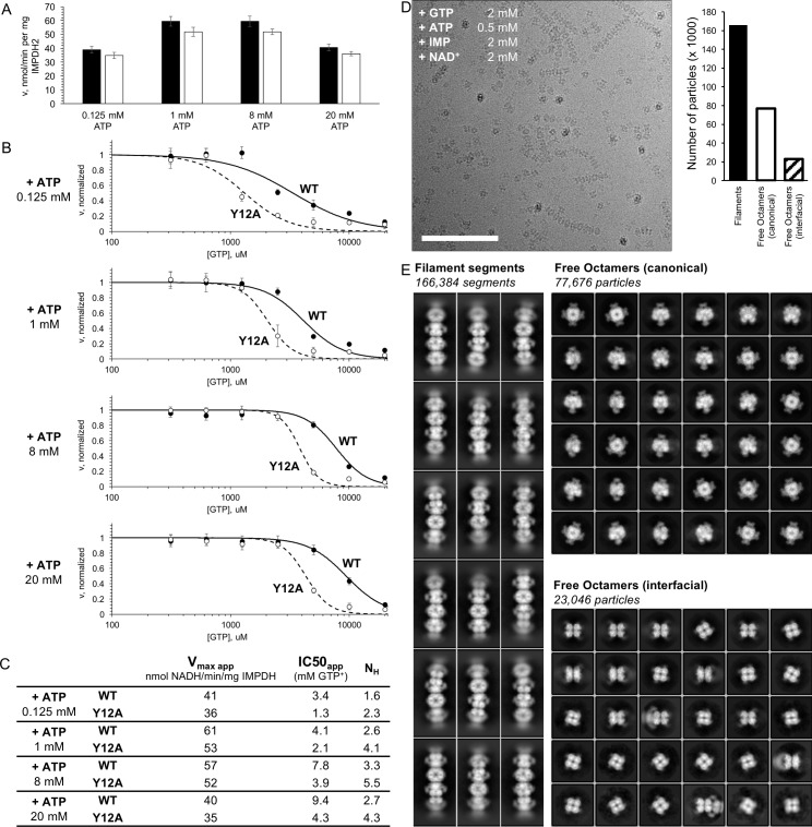 Figure 5—figure supplement 1.