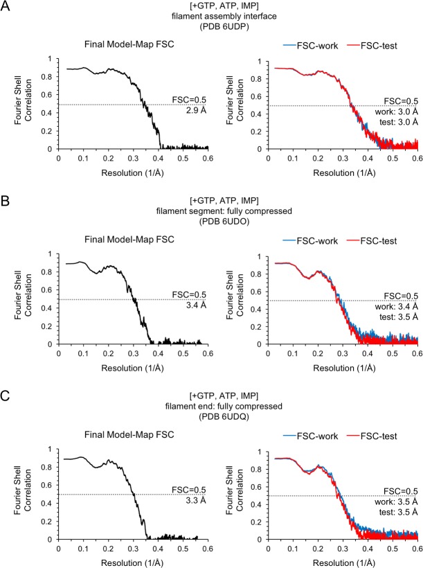 Figure 4—figure supplement 3.