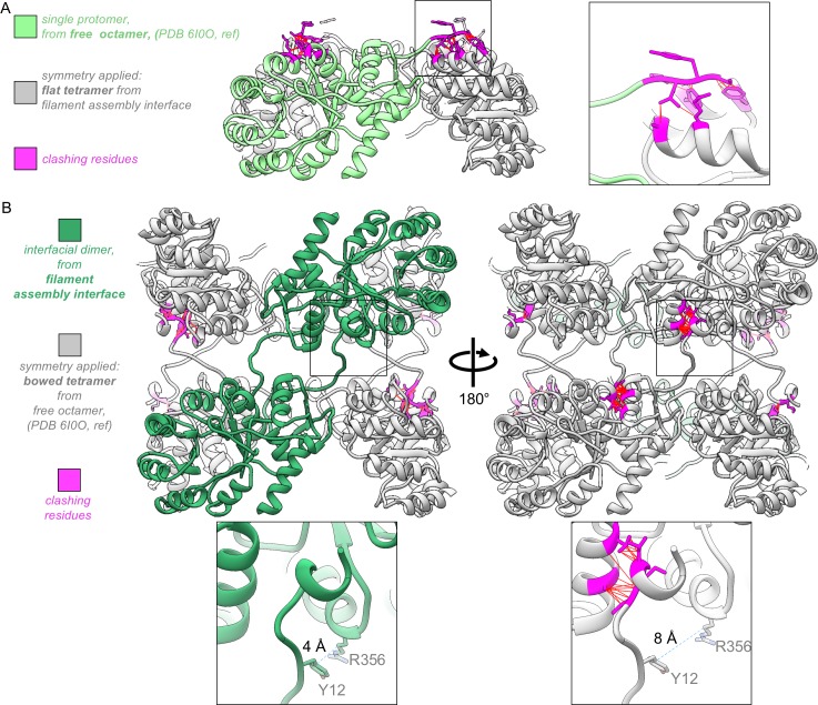 Figure 4—figure supplement 6.