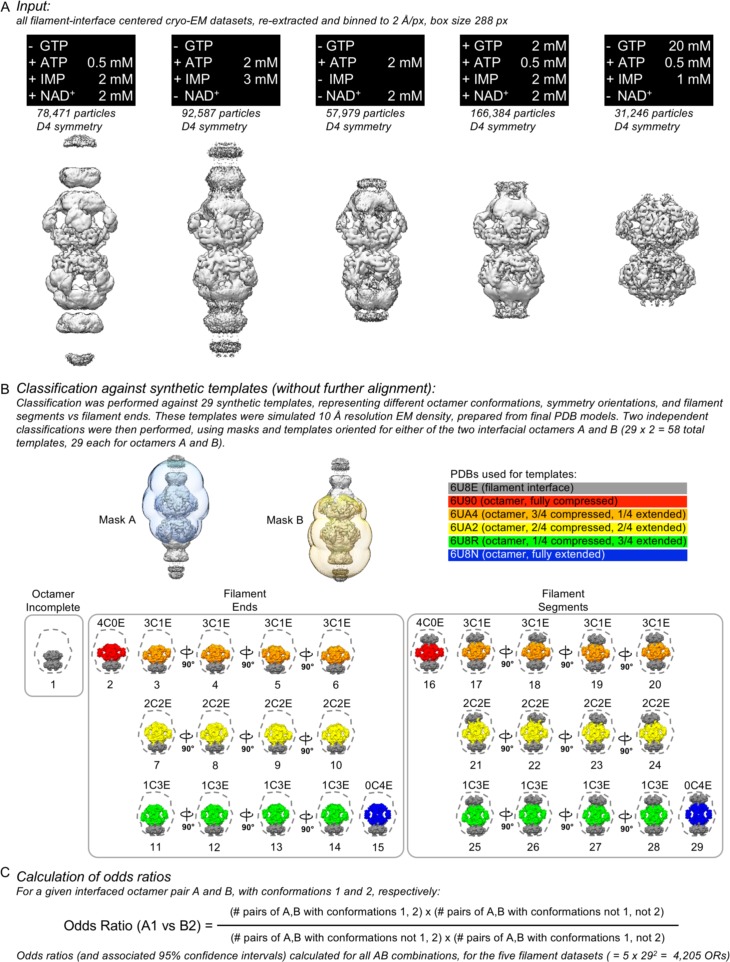 Figure 5—figure supplement 8.