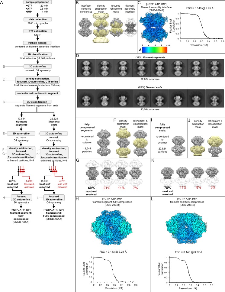 Figure 4—figure supplement 2.