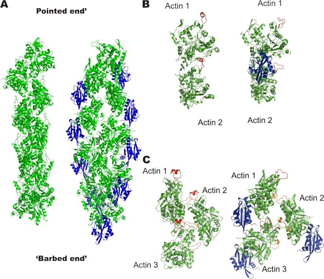 Figure 5.