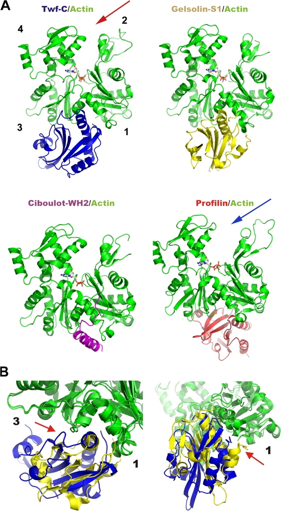 Figure 4.