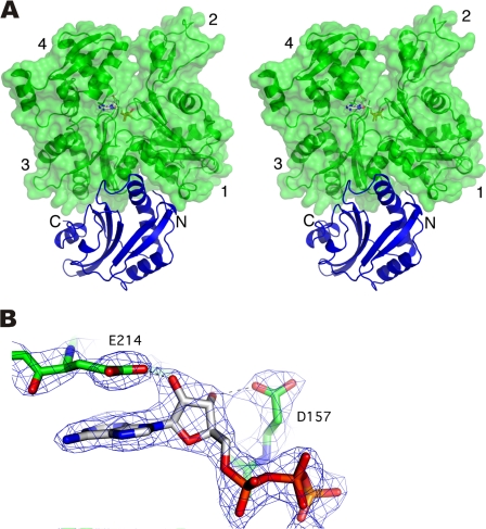 Figure 1.