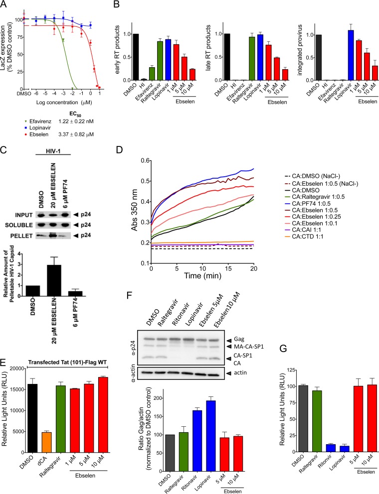 FIG 6